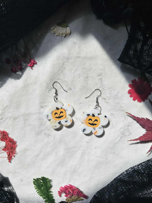 Confetti Pumpkin Daisies