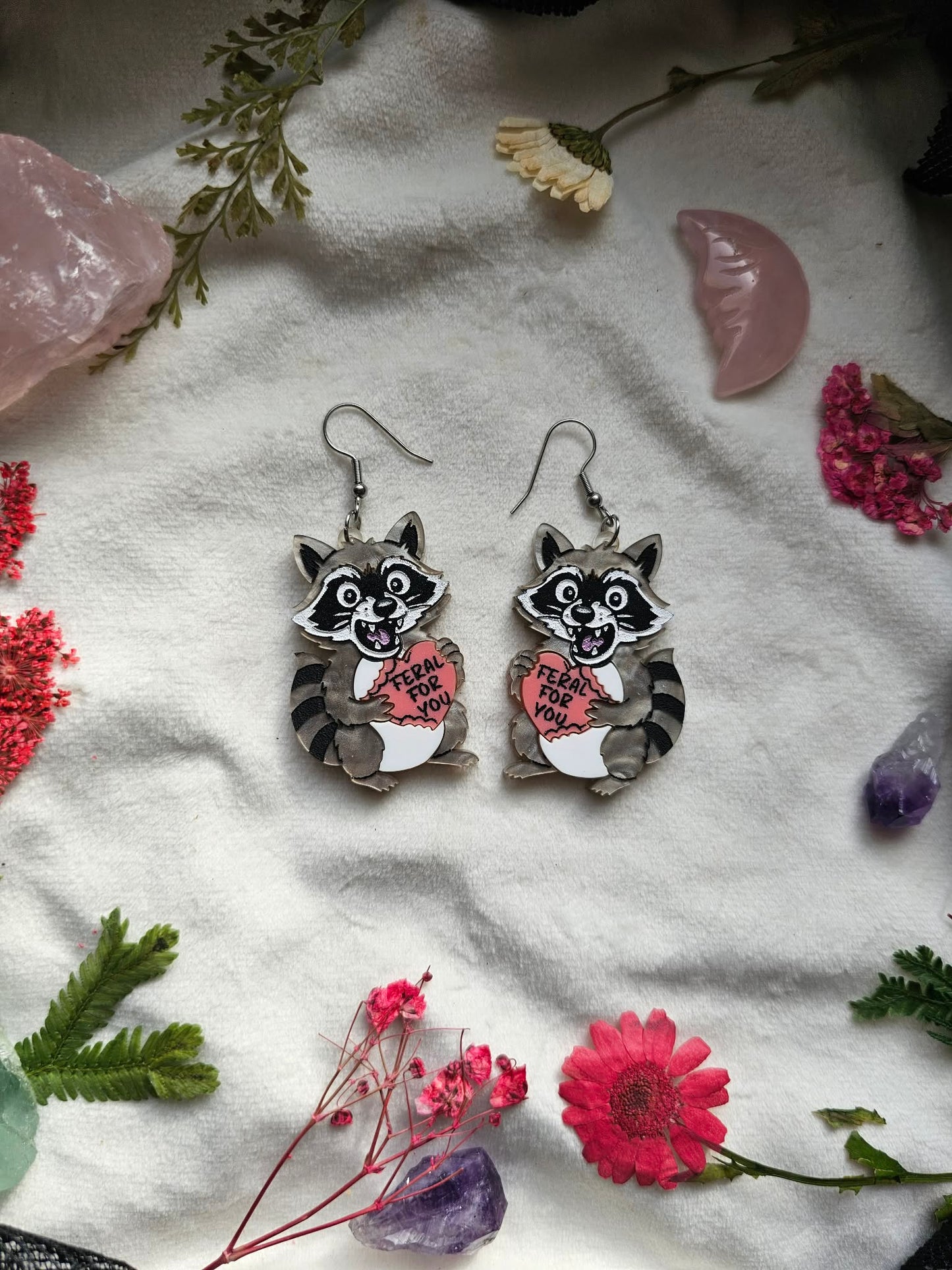 Feral For You Raccoons