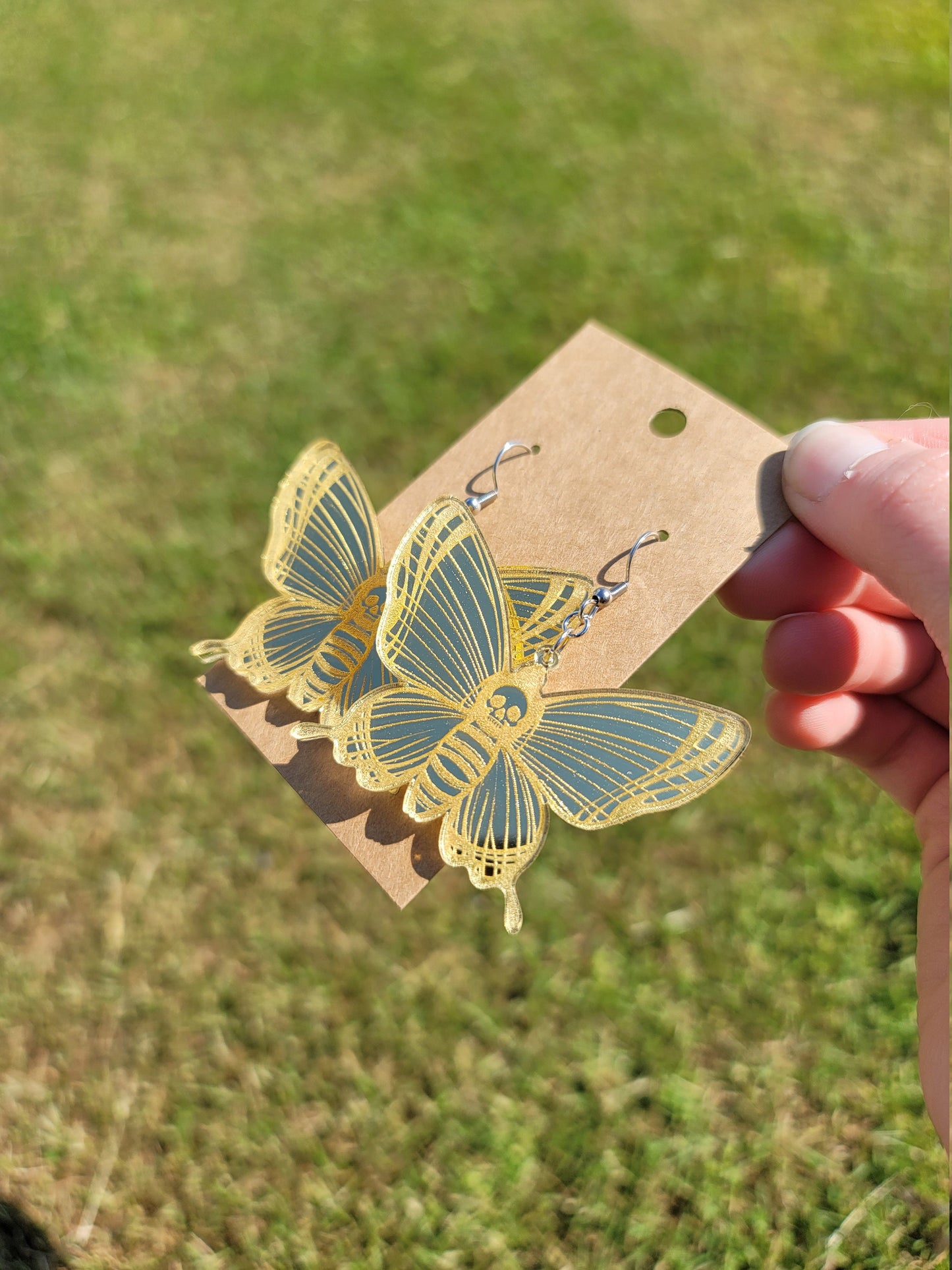 Gold Mirror Deathhead Hawk Moths