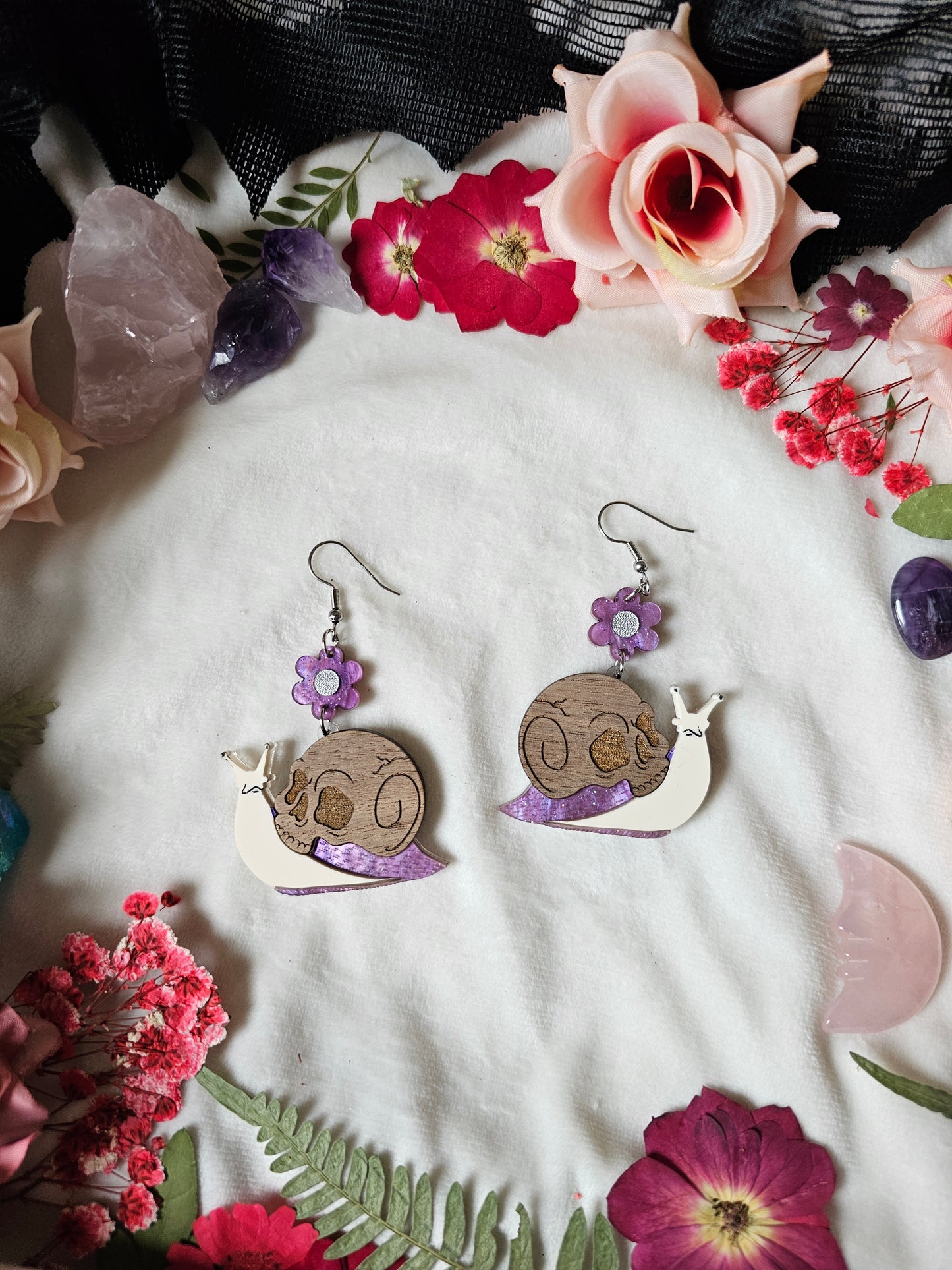 Purple Skull Snails