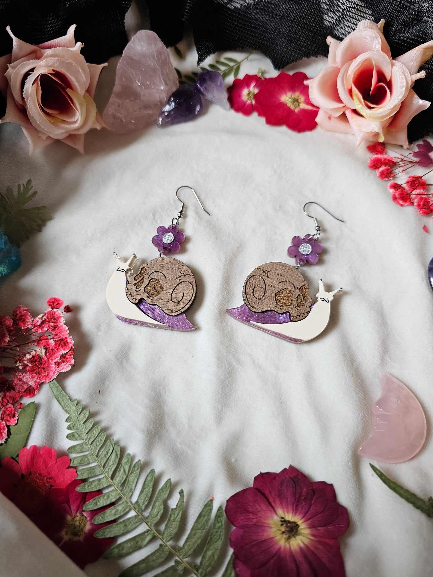 Purple Skull Snails
